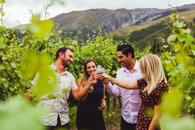 Altitude Wine Sampler Queenstown